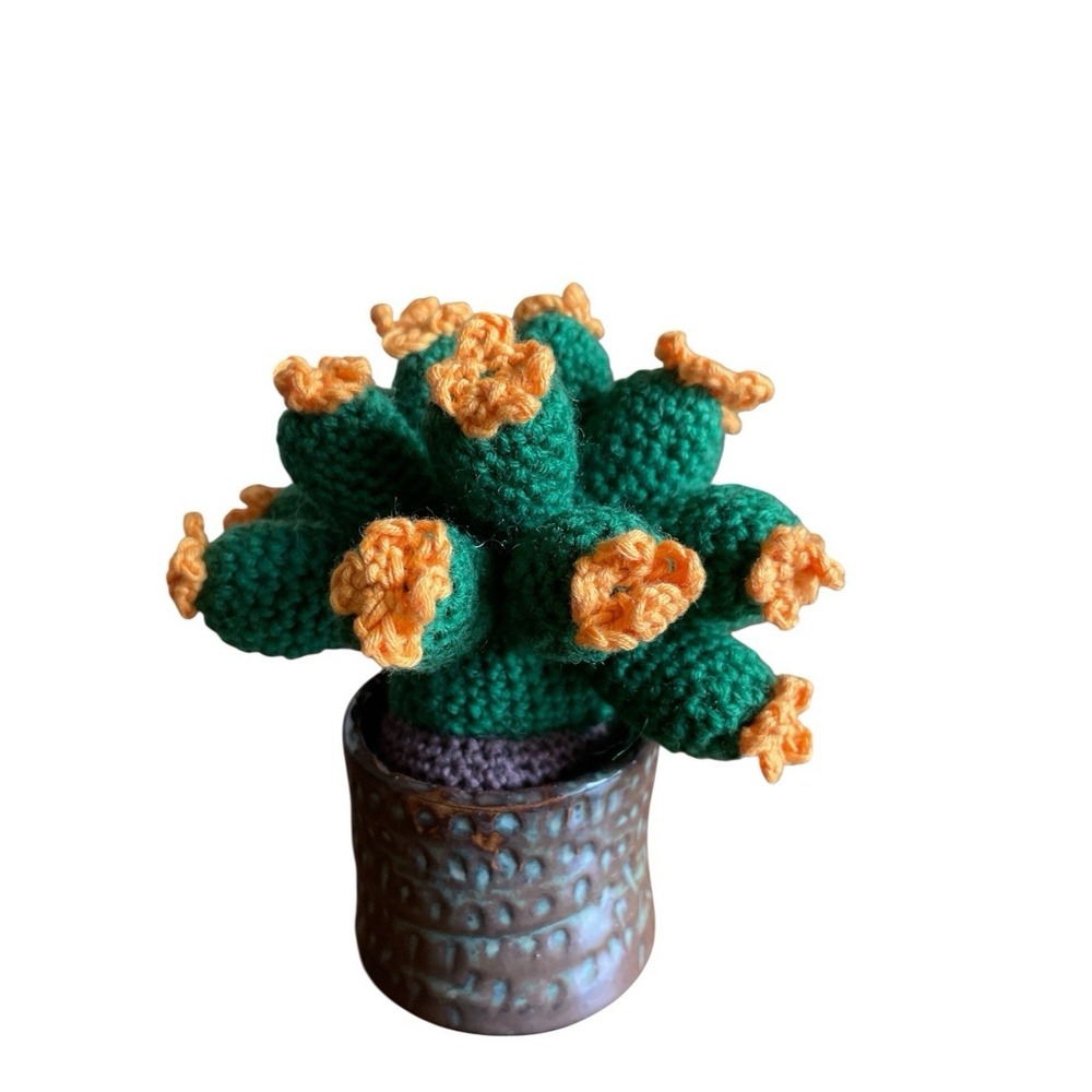 Crochet Cactus‎ Orange Flowers Clay Tumbler Desk Office Home Decoration Handmade